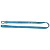 NAYECO perro correa X-trm flash azul 15 mm x 120 cm