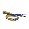 NAYECO perro correa X-trm neon flash cobalto 15 mm x 120 cm