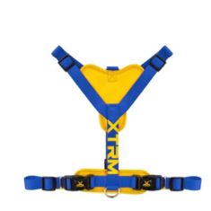 NAYECO perro arnes X-trm cronos neon flash cobalto