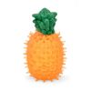 NAYECO perro juguete tpr Ice Piña 7.5x12 cm