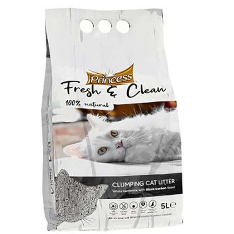 PRINCESS arena Fresh and clean carb n 10 L