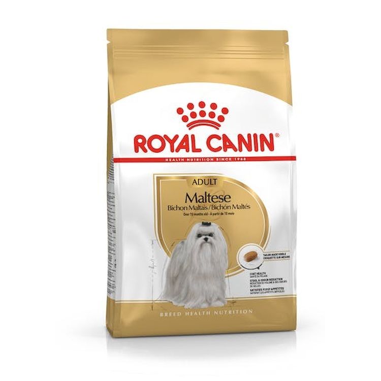 ROYAL CANIN perro adulto Bichon maltés
