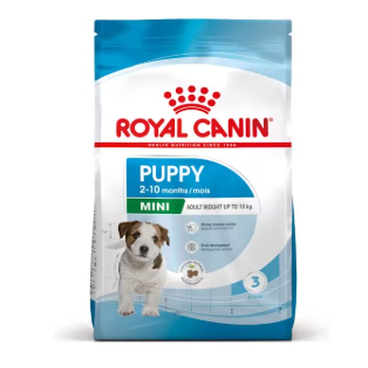 ROYAL CANIN perro junior mini