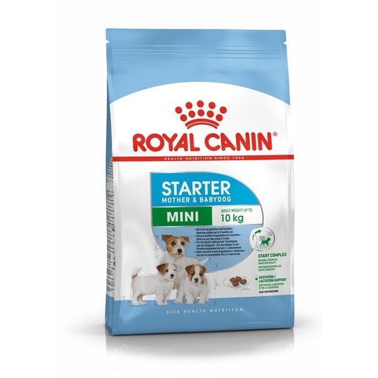 ROYAL CANIN perro starter mini