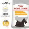 ROYAL CANIN perro adulto mini dermacomfort 1 kg