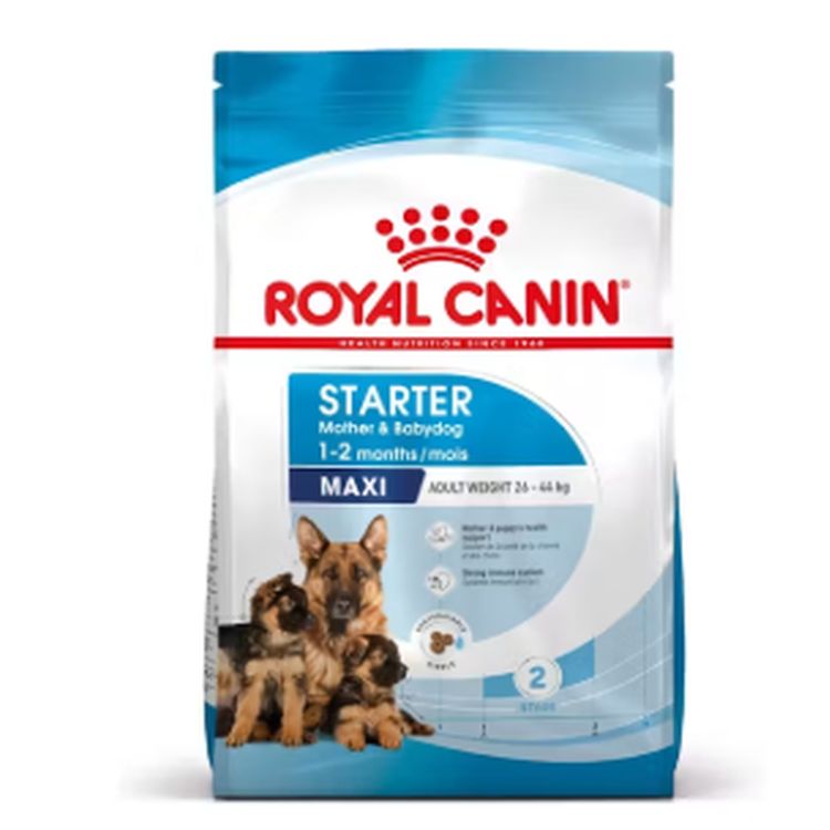 ROYAL CANIN perro starter maxi 4 kg