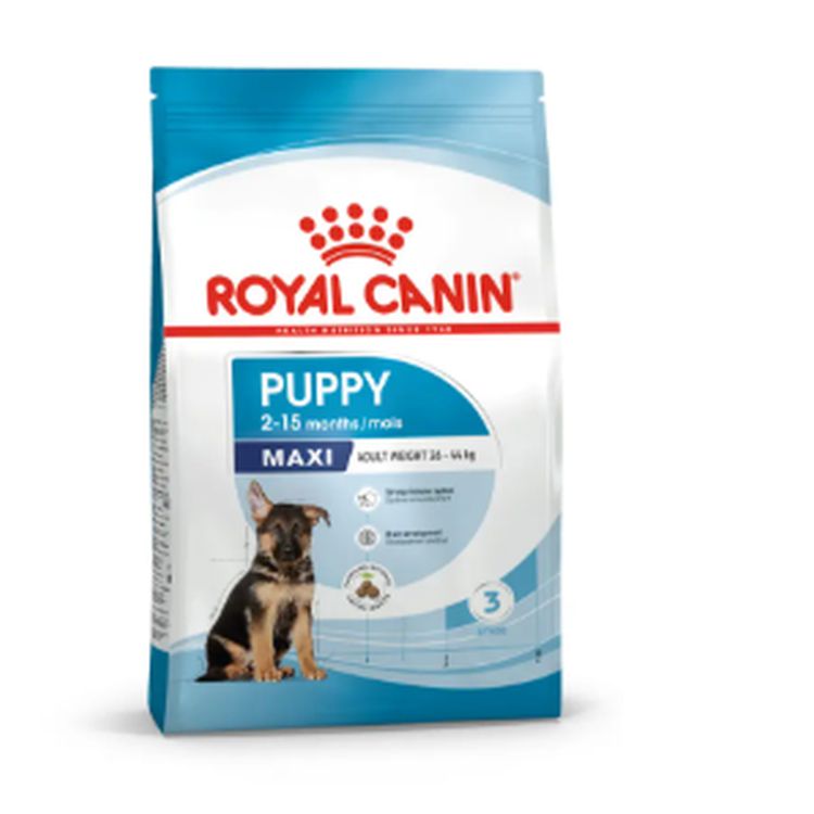ROYAL CANIN perro junior maxi