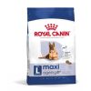 ROYAL CANIN perro senior +8 maxi 15 kg