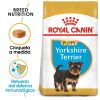 ROYAL CANIN perro junior Yorkshire 1.5 kg