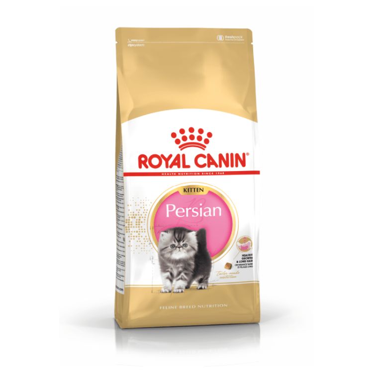 ROYAL CANIN gato kitten Persian