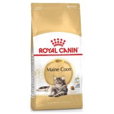 ROYAL CANIN gato adulto Maine coon
