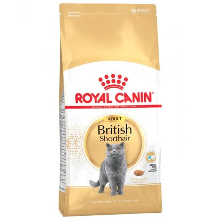 ROYAL CANIN gato adulto British shorthair 2 kg