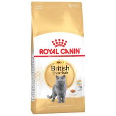 ROYAL CANIN gato adulto British shorthair 2 kg