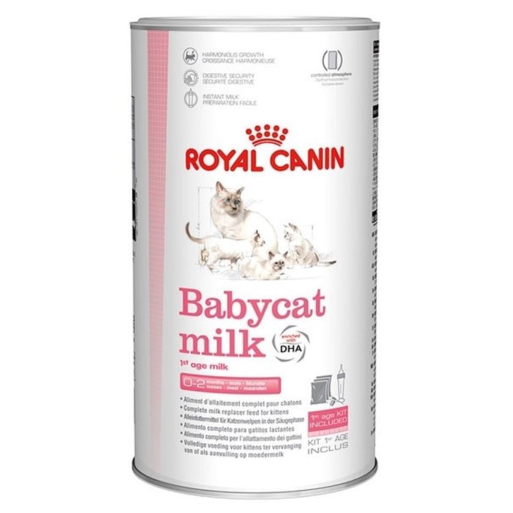 ROYAL CANIN gato kitten leche 300 gr