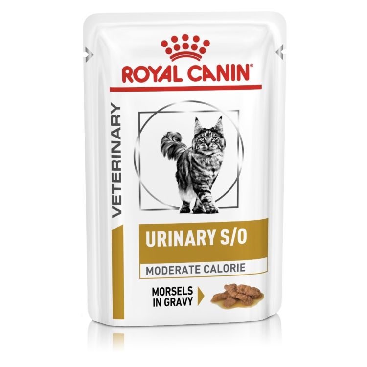 ROYAL CANIN gato adulto dieta urinary moderate pouch