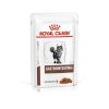 ROYAL CANIN gato adulto dieta gastrointestinal pouch