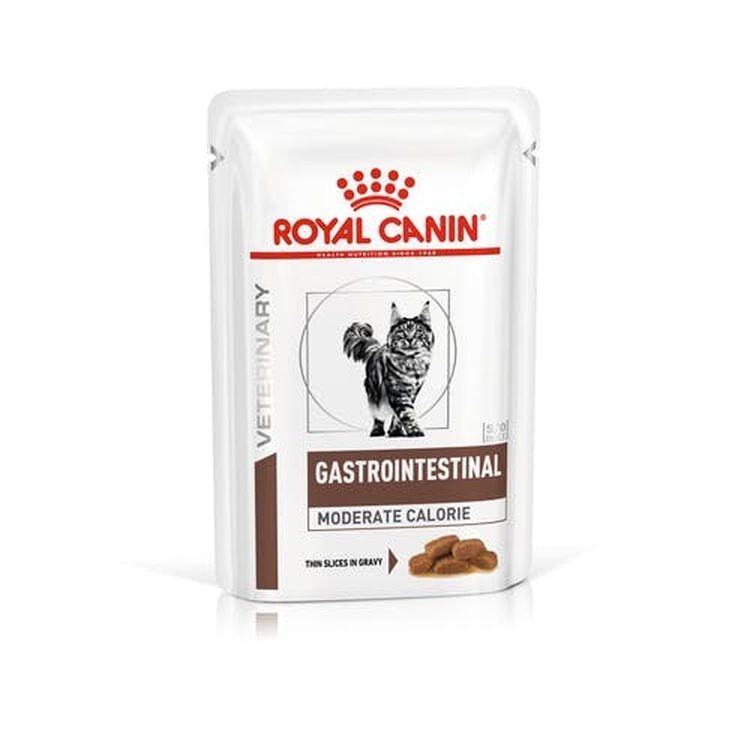 ROYAL CANIN gato adulto dieta gastro moderate pouch