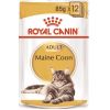 ROYAL CANIN gato adulto Maine coon salsa pouch 85 gr