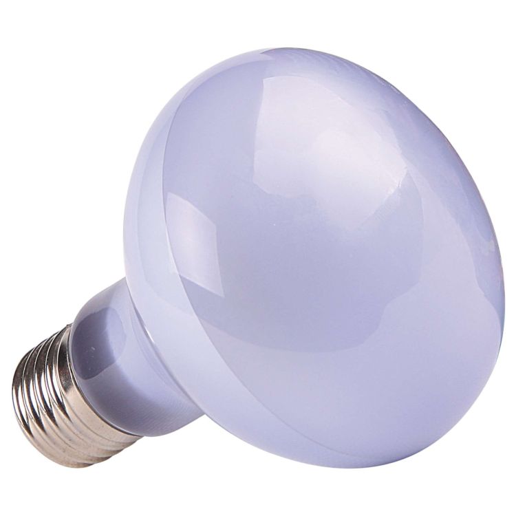 ICA Repti Selva bombilla halógena diurna