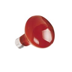 ICA Repti Selva bombilla infraroja