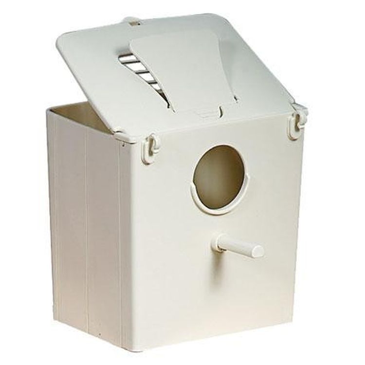 Nido aves michelangelo