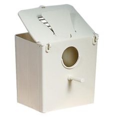 Nido aves michelangelo