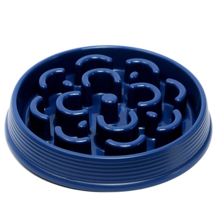 TARHONG perro comedero Slow chow azul