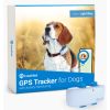 TRACTIVE GPS perro