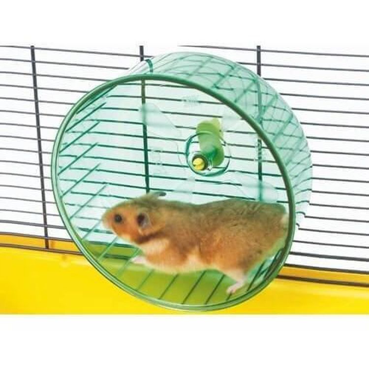 SAVIC roedor juguete rueda Rolly