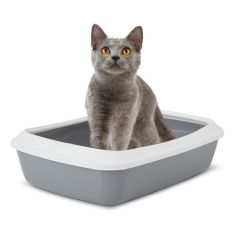 SAVIC gato bandeja con marco Iriz