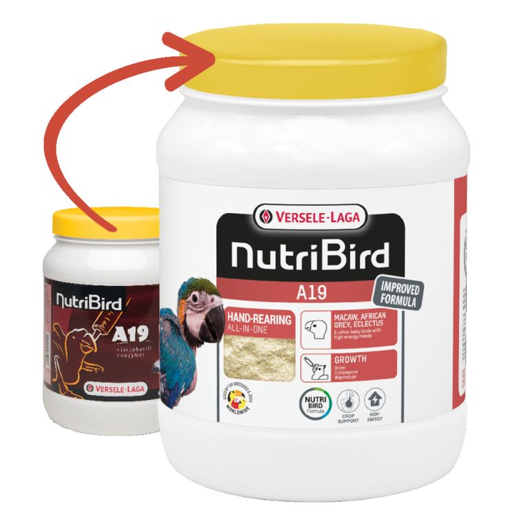 VERSELE Nutribird loro A-19 800 gr