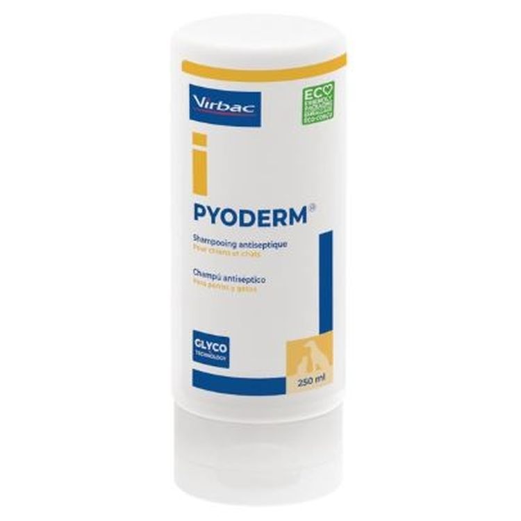 PYODERM champu 250Ml