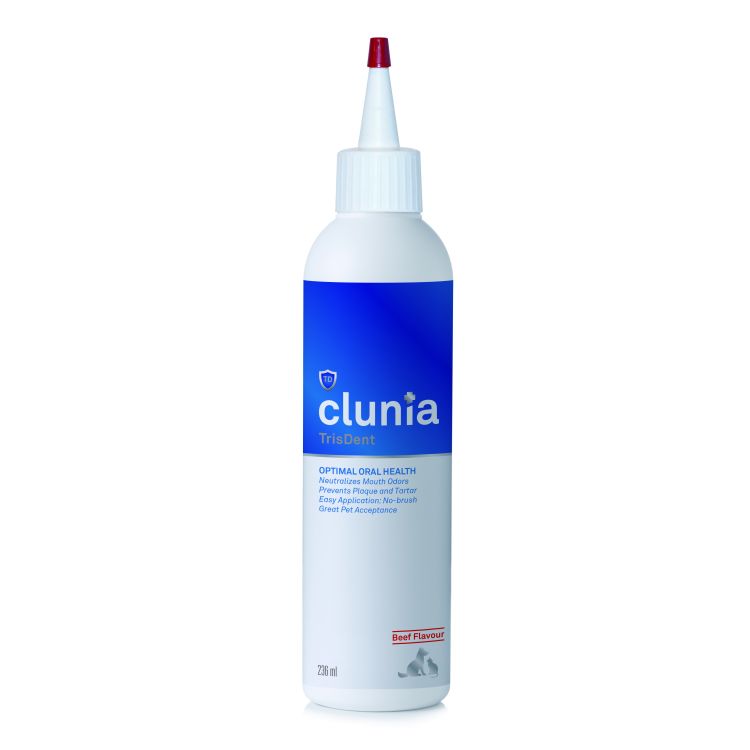 CLUNIA trisdent 236 ml
