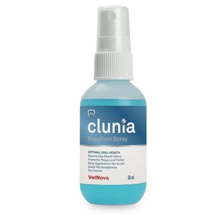 JT Clunia easy dent spray 60 ml