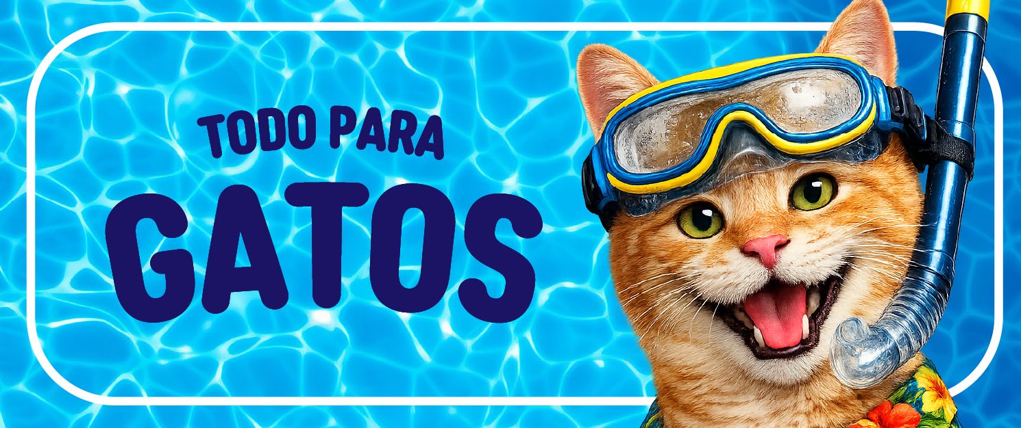 gato