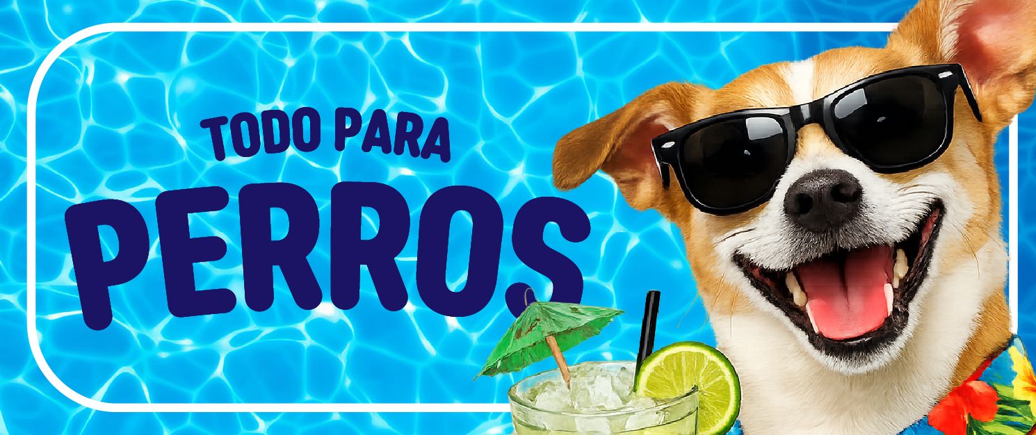 perro