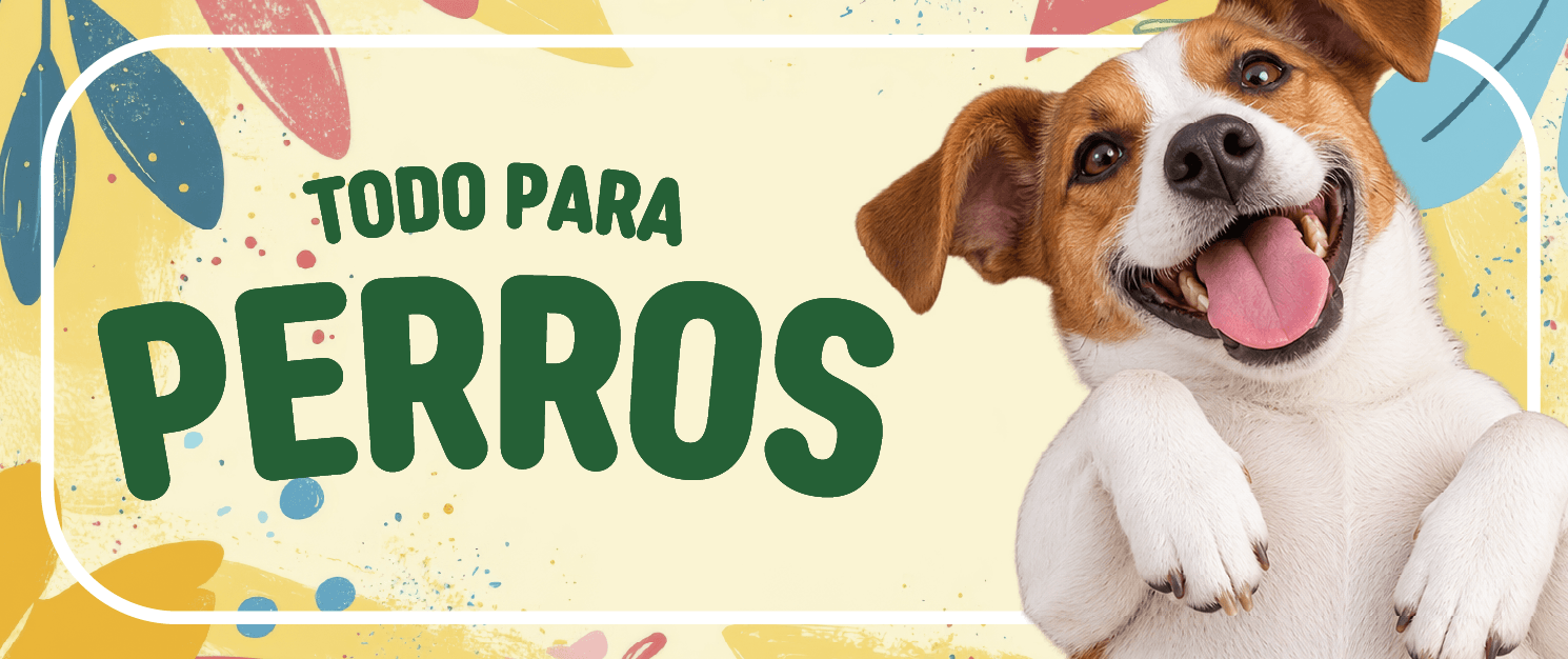 perro