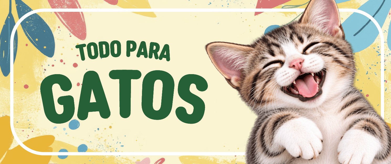 gato