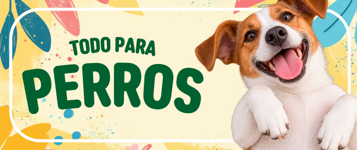 perro