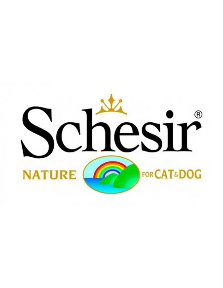 SCHESIR